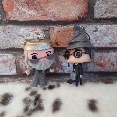 Harry Potter ve Profesör Anahtarlık Seti