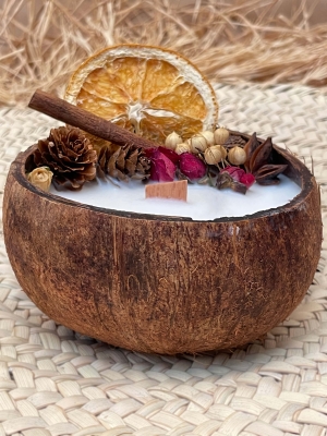 Peru Cat Handmade Doğal Hindistan Cevizi Kabuğunda %100 Organik Soya Mumu Kış Temalı PCH-WINTER-44