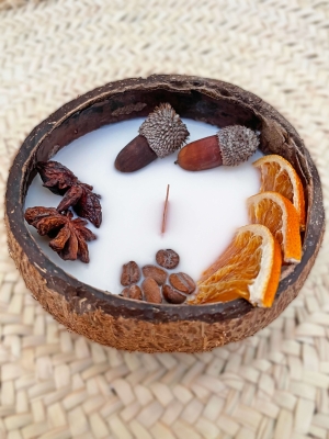 Peru Cat Handmade Doğal Hindistan Cevizi Kabuğunda %100 Organik Soya Mumu Kış Temalı PCH-WINTER-53