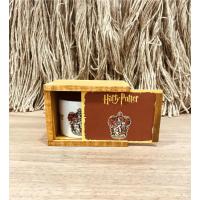 Harry Potter Özel Tasarım Kutulu Kupa