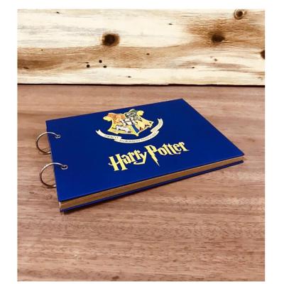 Kendin Yap Fotoğraf Albümü - Harry Potter