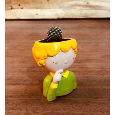 Küçük Prens Mini Skulent Kaktüs Saksısı