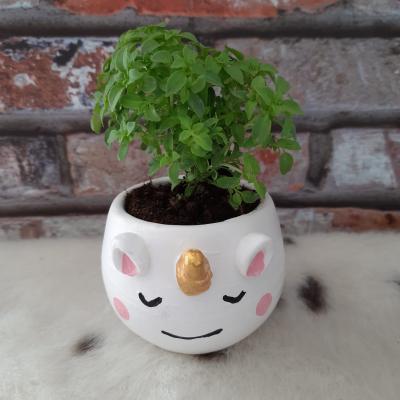 Unicorn Mini Kaktüs Sukulent Saksısı