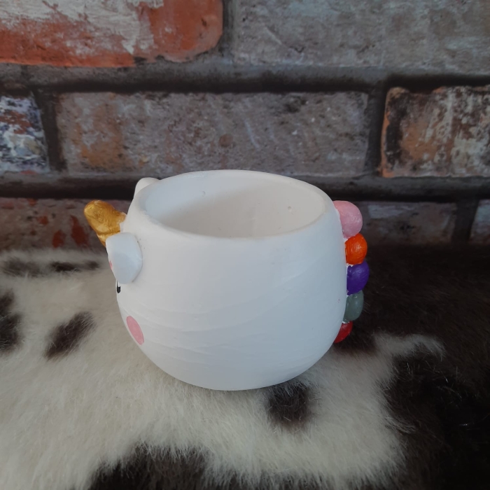 unicorn mini kaktus sukulent saksisi