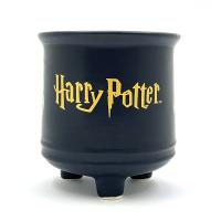 Harry Potter Kazan Siyah Kupa Bardak