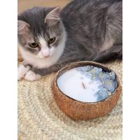 Peru Cat Handmade Doğal Hindistan Cevizi Kabuğunda %100 Organik Soya Mumu Mavi Kalsit Taşı PCH-COCONUT-42