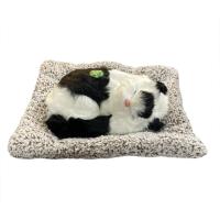 Yastıkta Uyuyan Sevimli Kedi Oyuncağı Siyah Beyaz Büyük Boy