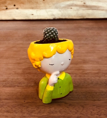 Küçük Prens Mini Skulent Kaktüs Saksısı