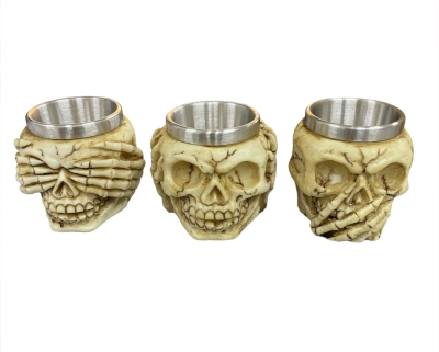 Görmedim Duymadım Bilmiyorum Kuru Kafa Shot Bardağı Seti