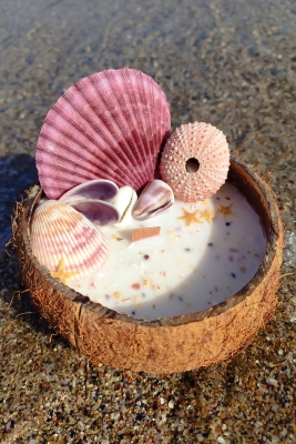 Peru Cat Handmade Doğal Hindistan Cevizi Kabuğunda %100 Organik Soya Mumu PCH-SHELL-15