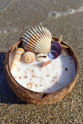 Peru Cat Handmade Doğal Hindistan Cevizi Kabuğunda %100 Organik Soya Mumu PCH-SHELL-16