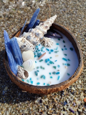 Peru Cat Handmade Doğal Hindistan Cevizi Kabuğunda %100 Organik Soya Mumu PCH-COCONUT-01