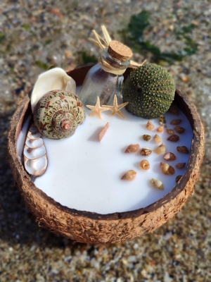Peru Cat Handmade Doğal Hindistan Cevizi Kabuğunda %100 Organik Soya Mumu PCH-COCONUT-04