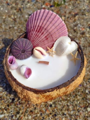 Peru Cat Handmade Doğal Hindistan Cevizi Kabuğunda %100 Organik Soya Mumu PCH-COCONUT-08