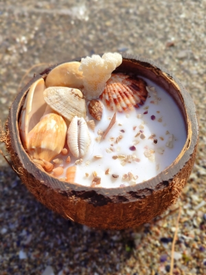 Peru Cat Handmade Doğal Hindistan Cevizi Kabuğunda %100 Organik Soya Mumu PCH-COCONUT-20
