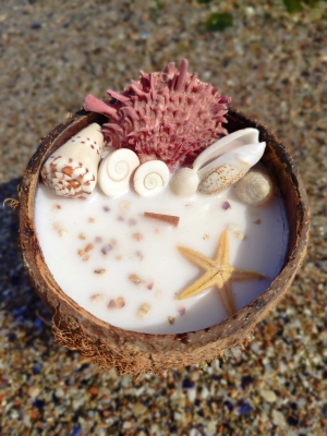 Peru Cat Handmade Doğal Hindistan Cevizi Kabuğunda %100 Organik Soya Mumu PCH-COCONUT-40