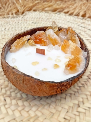 Peru Cat Handmade Doğal Hindistan Cevizi Kabuğunda %100 Organik Soya Mumu Sitrin Taşı PCH-COCONUT-54