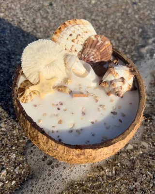 Peru Cat Handmade Doğal Hindistan Cevizi Kabuğunda %100 Organik Soya Mumu PCH-COCONUT-11