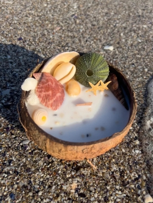 Peru Cat Handmade Doğal Hindistan Cevizi Kabuğunda %100 Organik Soya Mumu PCH-COCONUT-19