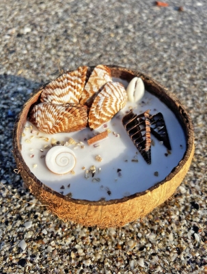 Peru Cat Handmade Doğal Hindistan Cevizi Kabuğunda %100 Organik Soya Mumu PCH-COCONUT-35